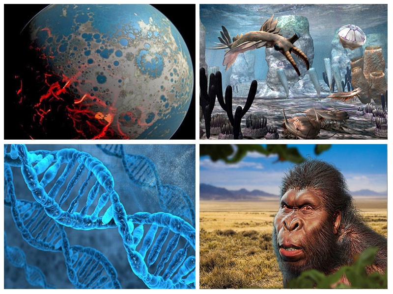 Невероятная эволюция человечества длиною в 3,5 миллиарда лет! интересное, факты и гипотезы., эволюция человека