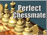 Perfect Checkmate