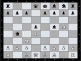 Шахматы Chess Nx