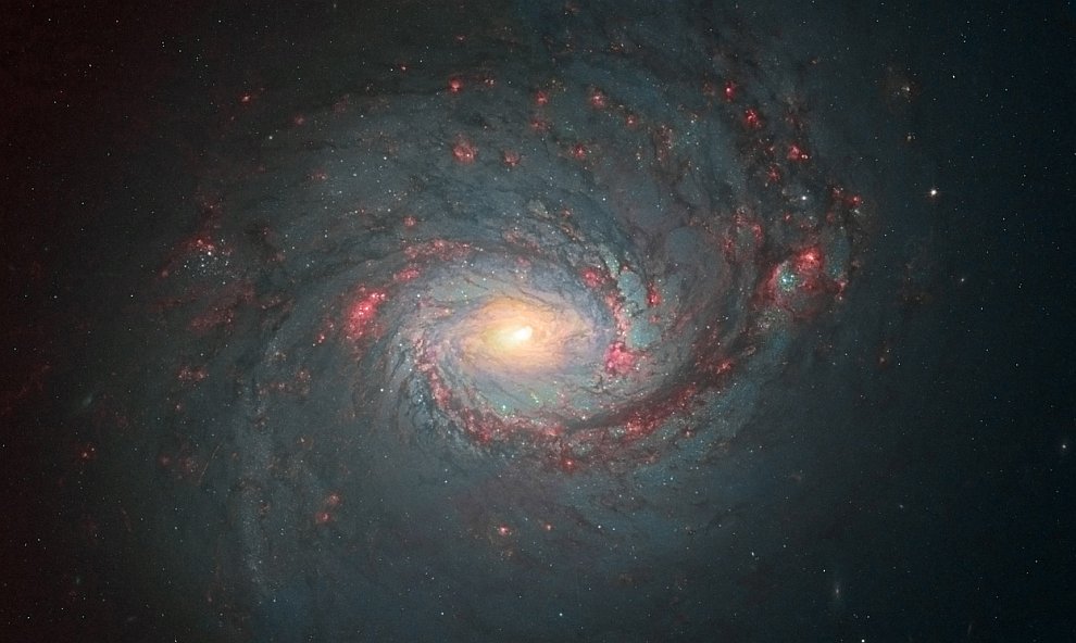 Спиральная галактика М77 в созвездии Кит
