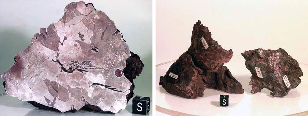 Метеорит Сихоте-Алиня, Дальний Восток