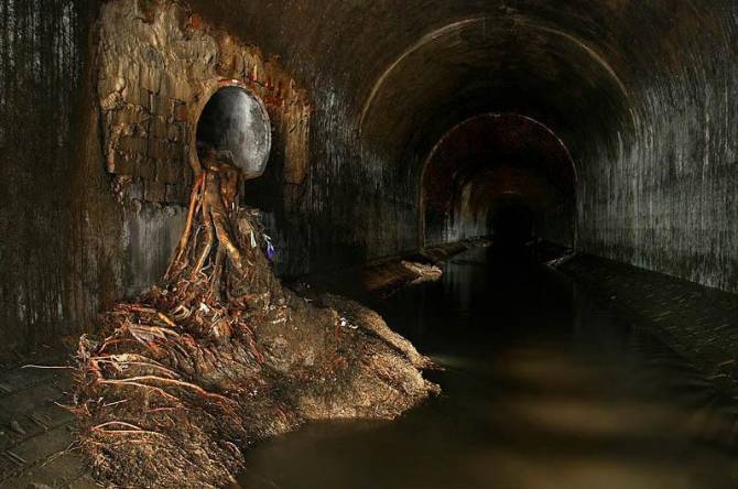 Тайны подземной Москвы (5 фото)