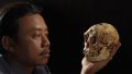 Карликовый череп найденный на острове Флорес в Индонезии © AP Photo / Ira Block