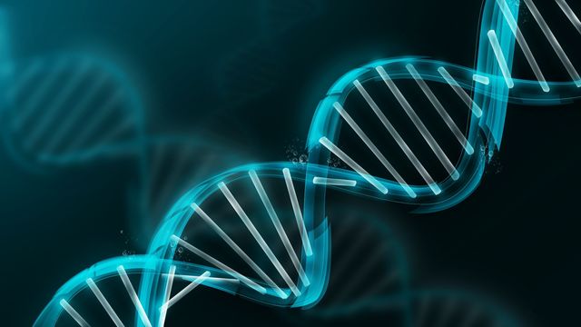 проект геном человека