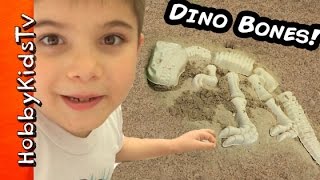 Digging Up Surprise DINOSAUR BONES and Toys in a Jurassic Sandbox with HobbyKidsTV
