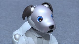 Sony presentó su nueva versión del perro robot Aibo