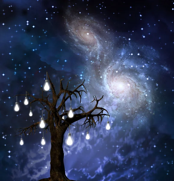 Небесное дерево — стоковое фото
