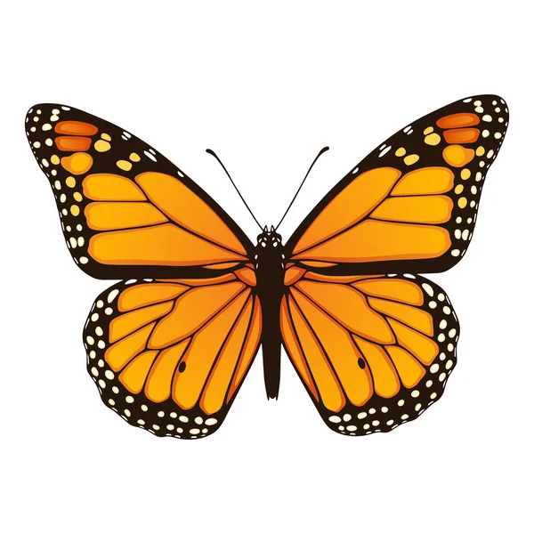 Бабочка монарх. рука нарисованные векторные иллюстрации — стоковый вектор