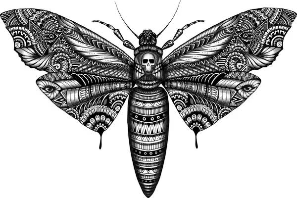Делительного бабочка — стоковый вектор