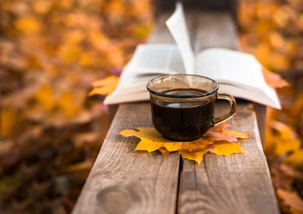Горячий кофе и Красная книга с осенние листья на фоне древесины — стоковое фото