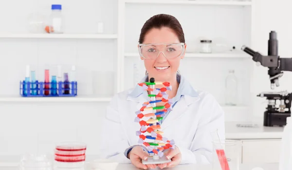 Красивая девушка-ученый показывает модели двойной спирали ДНК — стоковое фото