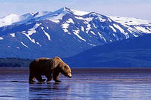 Лингвисты нашли на Аляске самый изолированный диалект русского языка