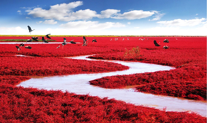 17. Красный пляж Паньцзинь, Китай земля, красота, планета, природа