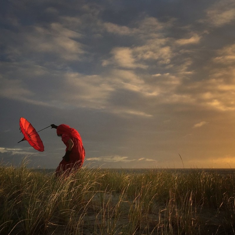 Фотограф года, 2 место - "Клонящаяся на ветру", Робин Робертис, Калифорния, США айфон, искусство, фотография