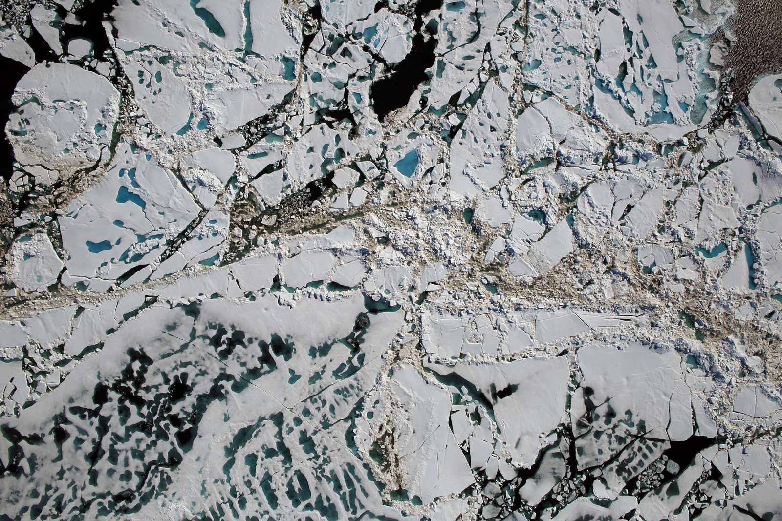1. Морские льдины, растаявшие озера и открытое море с высоты 450 метров, 16 июля (NASA/Goddard/Operation IceBridge) наука, научные исследования, научные открытия, фотографии