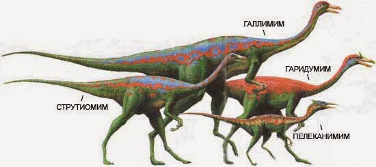 Динозавр самый быстрый, самый быстрый динозавр