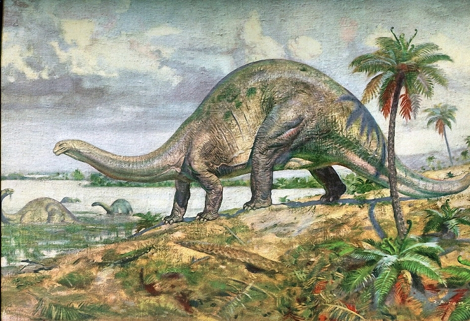 Картинки по запросу Апатозавр