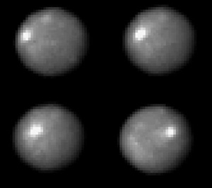 267 снимков Цереры, сделанные орбитальным телескопом Hubble, хорошо демонстрируют почти идеально круглую форму этого астероида (фото с сайта images.spaceref.com)