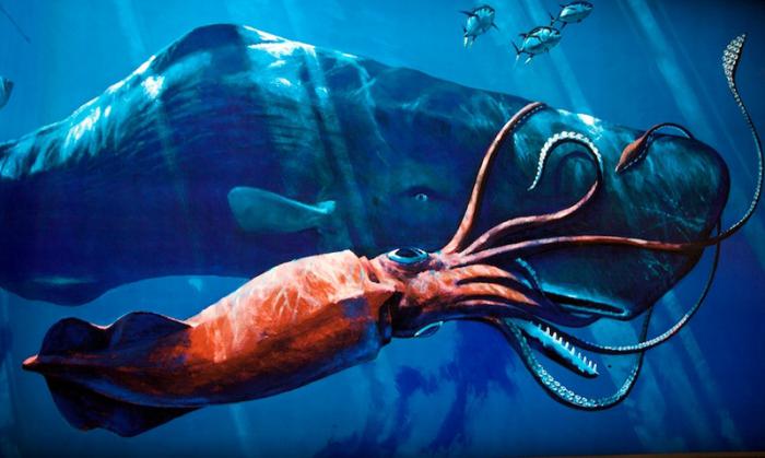 самый крупный кит