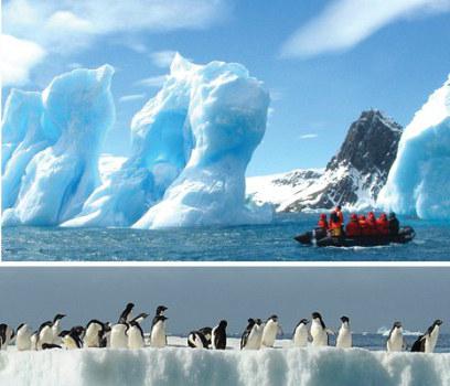 экспедиция в антарктиду