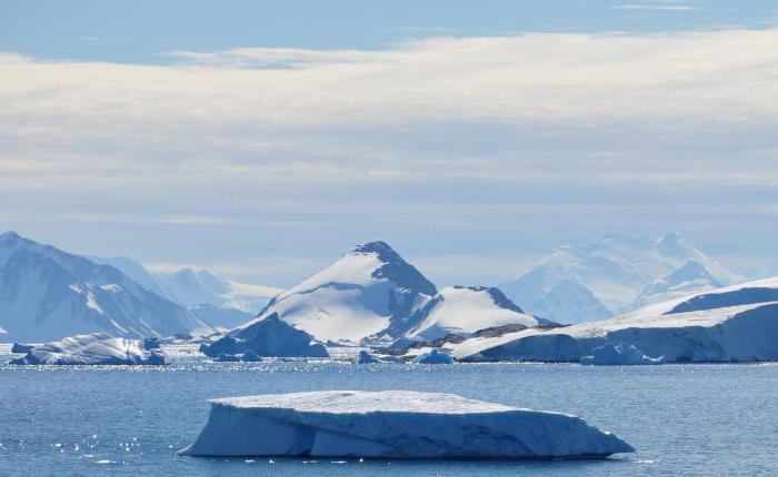 Какая толщина льда в Антарктиде