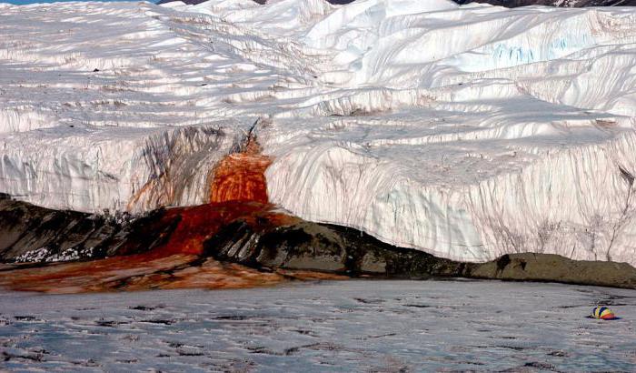 Наибольшая толщина льда в Антарктиде достигает