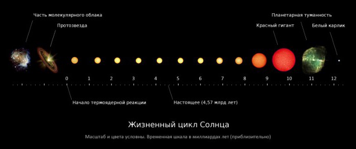 средняя звезда жизненный цикл звезды