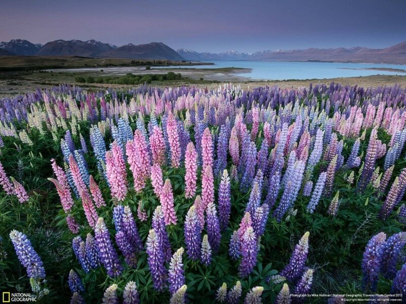 Сказочная Новая Зеландия в фотографиях