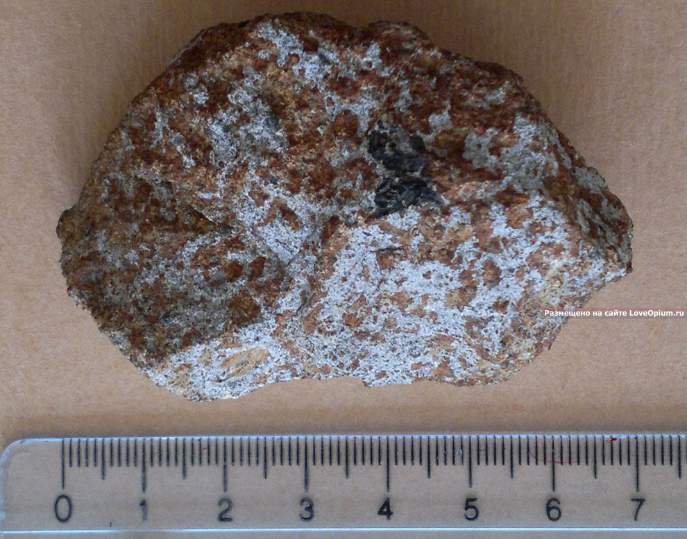 Метеорит Куня-Ургенч из Туркмении