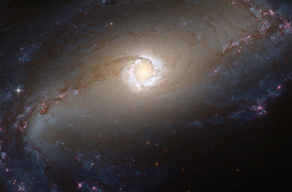 Спиральная галактика NGC 1097 в созвездии Печь