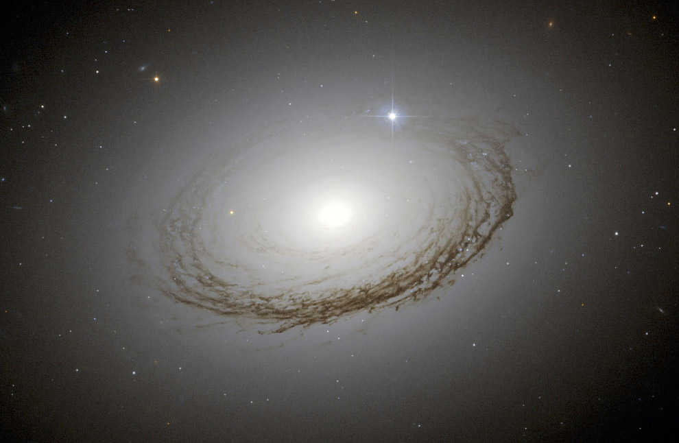 Гигантская галактика NGC 7049