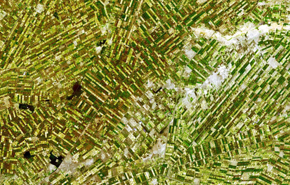 орошаемые поля, фото из космоса