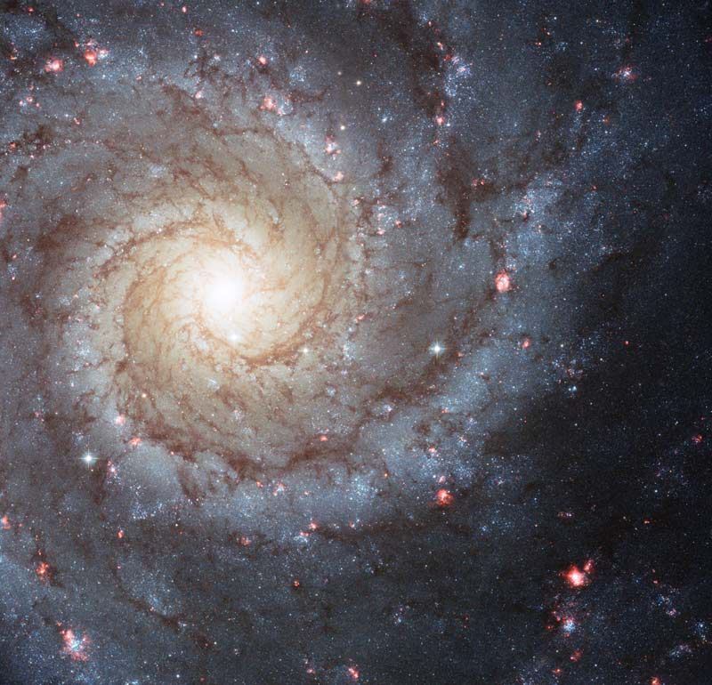 12. Спиральная галактика M74 из созвездия Рыб. Высказываются предположения, что в этой галактике есть черная дыра. 