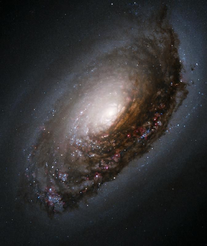 17. Галактика М64 в созвездии Волосы Вероники. Эта галактика возникла в результате слияния двух галактик, вращавшихся в разных направлениях. Поэтому внутренняя часть галактики М64 вращается в одну сторону, а ее периферическая часть – в другую. 