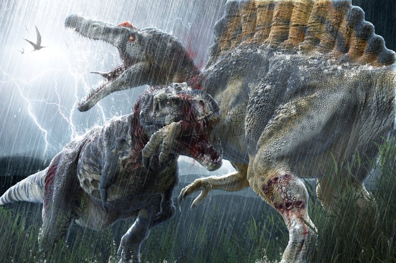 Самые популярные заблуждения о динозаврах