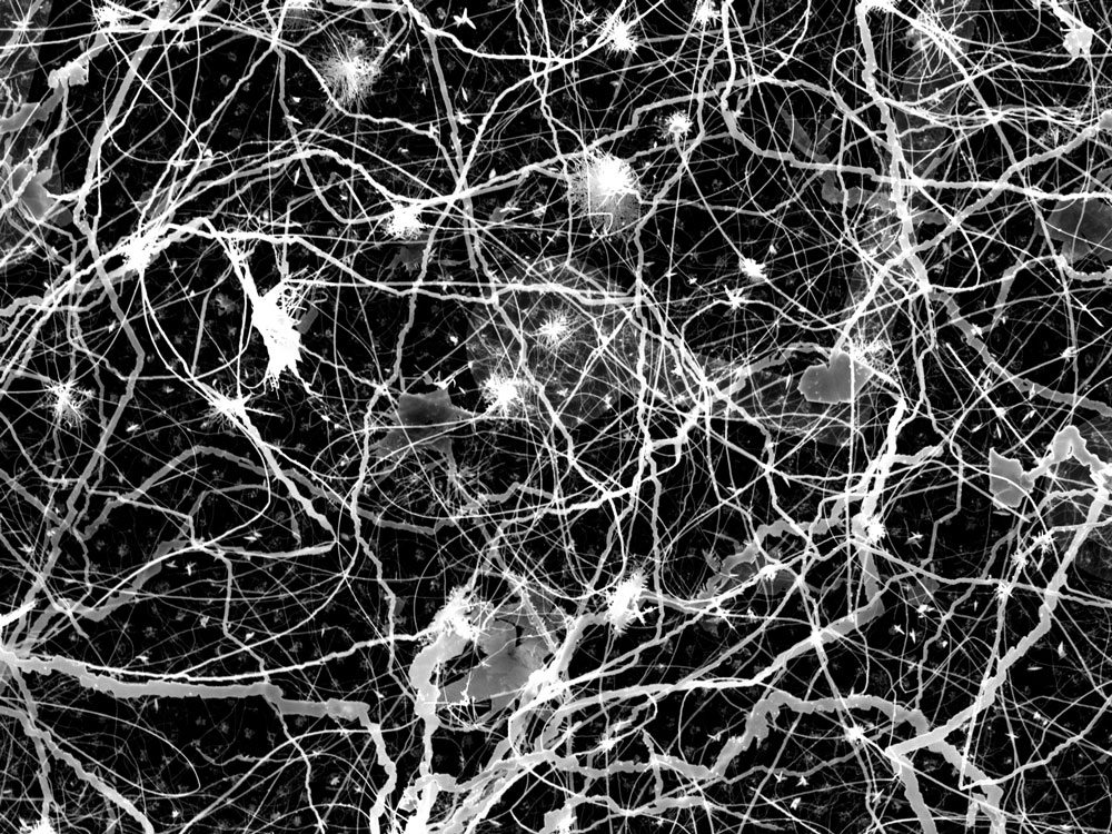 Эта сеть чрезвычайно переплетенных нанопроводов может выглядеть хаотичной и случайной, но ее структура и поведение напоминают поведение нейронов мозга. Ученые из NanoSystems разрабатывают ее как устройство-мозг для обучения и вычислений.