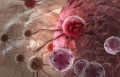 связь между старением, стволовыми клетками и раком установлена
