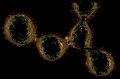 Изображение «нанопровода» состоящего из сферических везикул, содержащих переносчики электронов (красный и зеленый). © Университет Южной Калифорнии