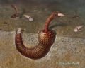 Причиной первого глобального потепления назвали предков червей