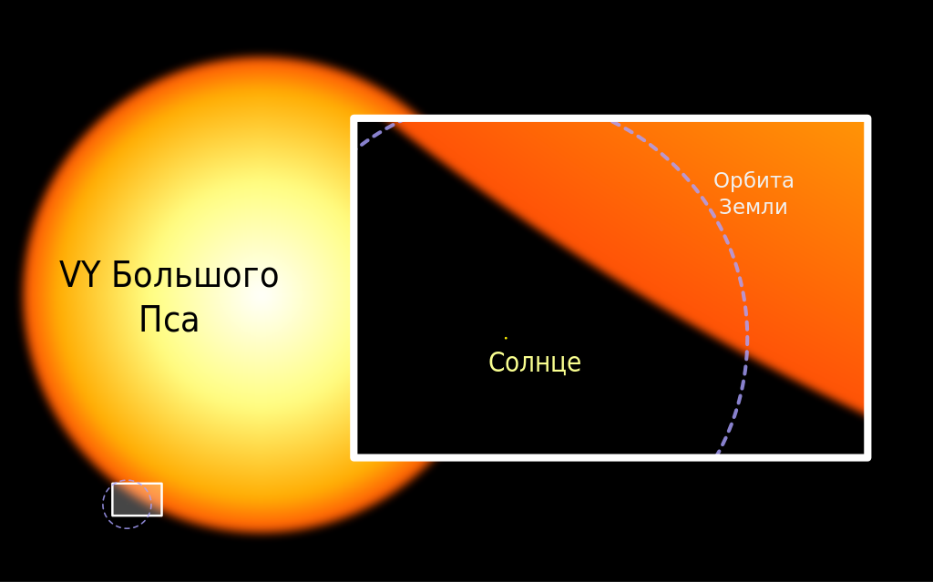 VY Большого Пса и Солнце