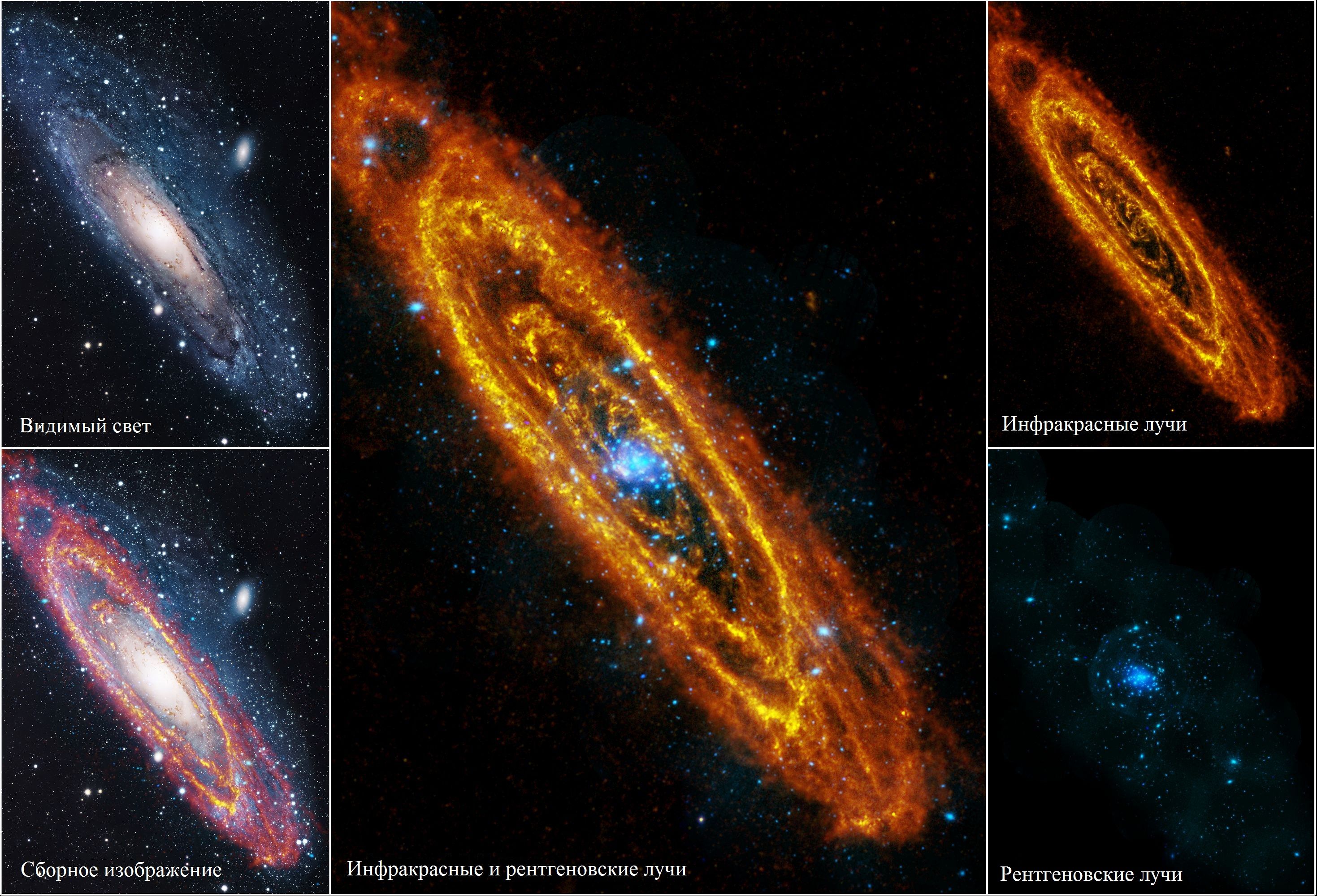Галактика Андромеды в различных диапазонах электромагнитного спектра