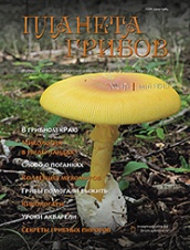 Журнал Планета грибов № 1(7) 2015