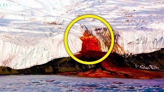 Антарктида под грифом «строго секретно»! Обнаруженное во льдах повергло в ступор даже бывалых.
