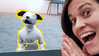 EL ROBOT MÁS ADORABLE!! Sony Aibo 2018