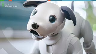 Новый робот собака Sony Aibo (Robotics.ua)