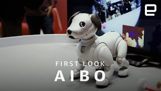 Sony Aibo First Look: Impossibly Cute Robot Dog