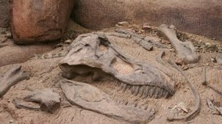 Unearthing Dinosaur Remains : Documentary on Finding Dinosaur Fossils (Full Documentary)