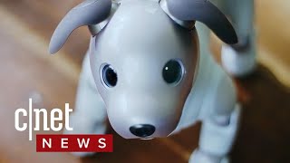 Sony Aibo robot dog returns with advanced AI (CNET News)