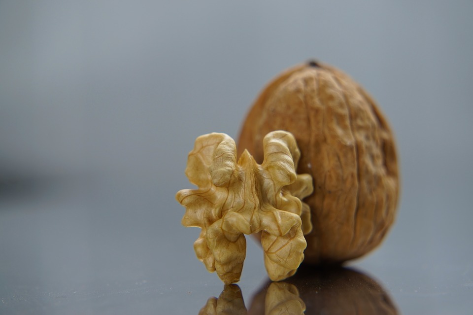 Культура питания - грецкий орех очень полезен для головного мозга