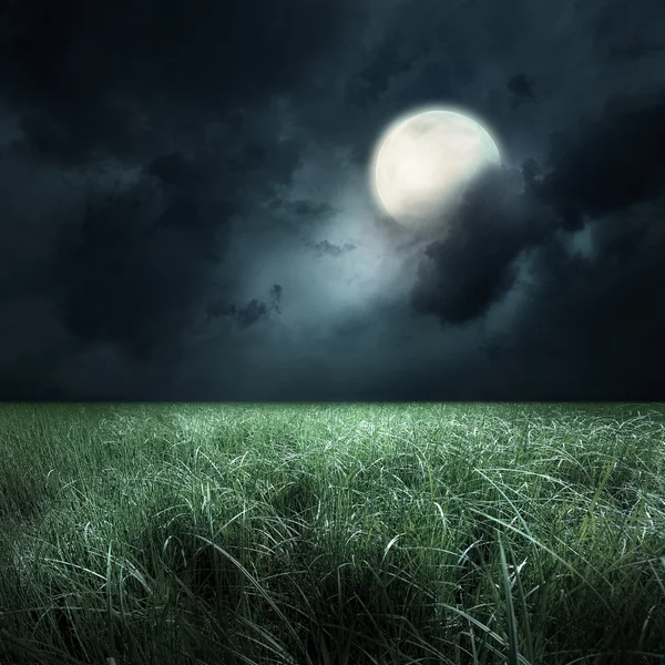 Зеленое поле в лунном свете — стоковое фото